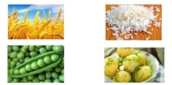 Aumento da inxestión de proteínas e fibra na dieta